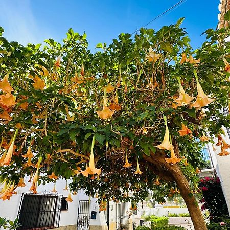 Right By The Pool Area In Capistrano Village! Nerja Esterno foto